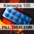 Kamagra 100 viagra1